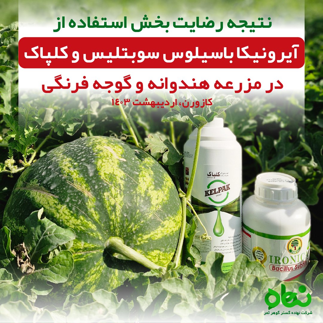 نتیجه رضایت بخش استفاده از آیرونیکا باسیلوس سوبتیلیس و کلپاک